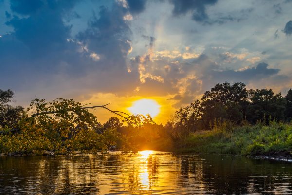 Kajaki na rzece Warta 3