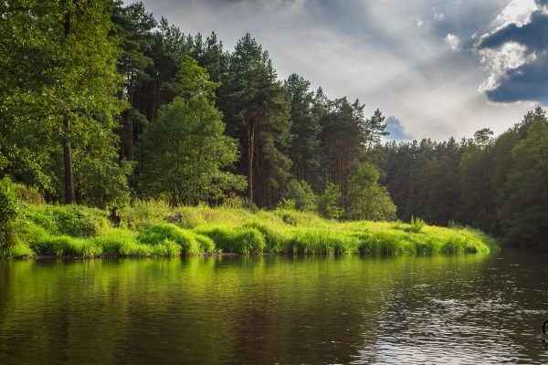 Kajaki na rzece Warta 7